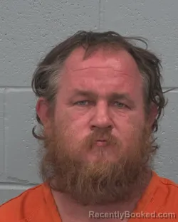 Mugshot of GEORGE FRANKLIN DREAMER booked in Pasco County, Florida on March 19, 2026