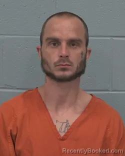 Mugshot of BLAINE ALLEN RICH booked in Pasco County, Florida on March 19, 2026