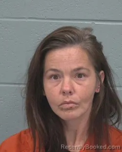 Mugshot of SHANE LYNETTE RAMPERSAD booked in Pasco County, Florida on March 19, 2026