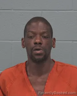 Mugshot of KAPAMPA TURNER booked in Pasco County, Florida on March 20, 2026