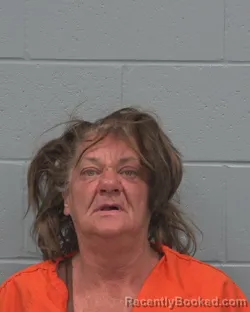 Mugshot of SHERRIE ANN LITTEN booked in Pasco County, Florida on March 21, 2026