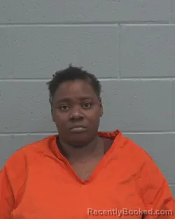 Mugshot of RAVEN SIMONE FIELDS booked in Pasco County, Florida on March 22, 2026