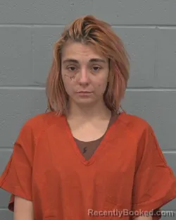 Mugshot of MONICA LEANN DEES booked in Pasco County, Florida on March 22, 2026