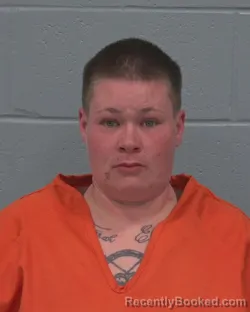 Mugshot of ANALISE SHARON BOWLES booked in Pasco County, Florida on March 22, 2026