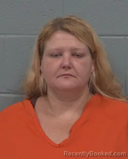 Mugshot of NICOLE RENEE MCINTOSH booked in Pasco County, Florida on March 23, 2026