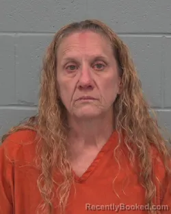 Mugshot of JENNIFER RENEA COLLINS booked in Pasco County, Florida on March 23, 2026