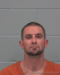 Mugshot of GABRIEL NELSON GIBSON booked in Pasco County, Florida on March 23, 2026