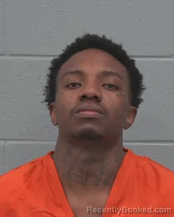 Mugshot of JAMIE DEMETRIES LEE booked in Pasco County, Florida on March 24, 2026