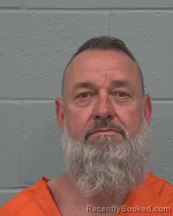 Mugshot of IRVIN ALEXANDER PIPPIN booked in Pasco County, Florida on March 24, 2026