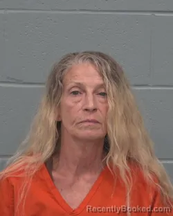 Mugshot of CATHY ANNETTE TIBBETTS booked in Pasco County, Florida on March 24, 2026