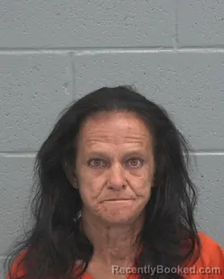 Mugshot of PAMELA MICHELLE GILLIS booked in Pasco County, Florida on March 24, 2026