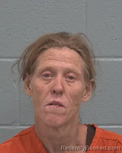 Mugshot of CAROLYN MILDRED TEAGUE booked in Pasco County, Florida on March 24, 2026