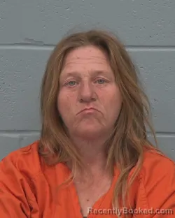 Mugshot of MANDY DAWN HARSHAW booked in Pasco County, Florida on March 24, 2026