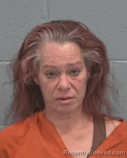 Mugshot of KRISTIE LYNN NOBLES booked in Pasco County, Florida on March 26, 2026