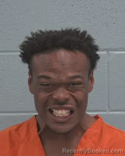 Mugshot of CORBIN DEAN REED booked in Pasco County, Florida on March 28, 2026