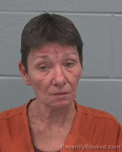 Mugshot of KIMBERLY D`ANN HALLMARK booked in Pasco County, Florida on March 28, 2026