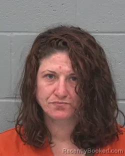 Mugshot of DANIELLE JO ANNE DYER booked in Pasco County, Florida on March 29, 2026