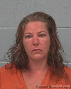 Mugshot of ALEXANDRIA HUDSON booked in Pasco County, Florida on March 31, 2026