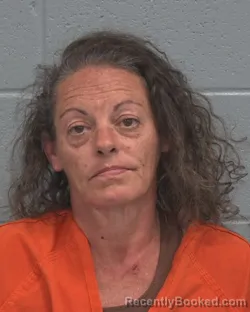 Mugshot of ANGELA JO SCOTT booked in Pasco County, Florida on March 31, 2026