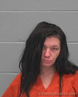 Mugshot of AMANDA HELEN GEORIANNA ELGERS booked in Pasco County, Florida on March 31, 2026