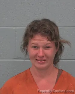 Mugshot of CHLOE ELIZABETH MIRANDA booked in Pasco County, Florida on March 31, 2026