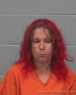 Mugshot of NICOLE DANIELLE LYNCH-SCHWARZ booked in Pasco County, Florida on April 1, 2026