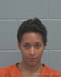 Mugshot of BRITTANY ALEXIS CANNON booked in Pasco County, Florida on April 1, 2026