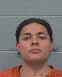 Mugshot of GUSTAVO ANGEL SANTIAGO MORA booked in Pasco County, Florida on April 1, 2026