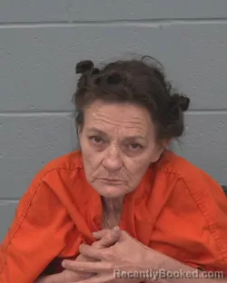 Mugshot of ANGELA PATRICIA WYNN booked in Pasco County, Florida on April 1, 2026