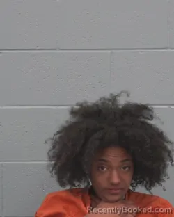 Mugshot of ABIGAIL NOEMI GARCIA booked in Pasco County, Florida on April 1, 2026