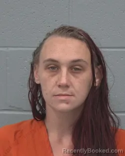 Mugshot of BRIANNA ROSE GOSHOW booked in Pasco County, Florida on April 2, 2026