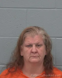 Mugshot of LAURA ELIZABETH JONES booked in Pasco County, Florida on April 2, 2026