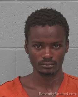 Mugshot of DESEAN JOSHUA DAVIS booked in Pasco County, Florida on April 3, 2026