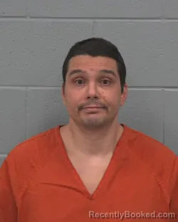 Mugshot of MICHAEL CHRISTOPHER KIM booked in Pasco County, Florida on April 3, 2026