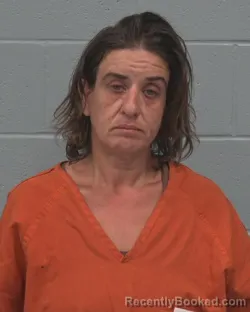 Mugshot of ZLATINA KRASTEVA ANGUELOVA booked in Pasco County, Florida on April 4, 2026