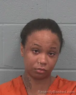 Mugshot of LAJOYA ONTANESE NORRIS booked in Pasco County, Florida on April 4, 2026