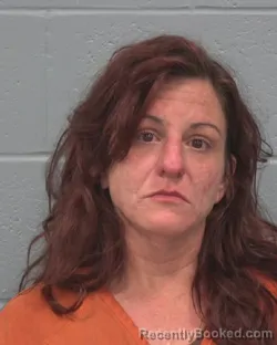 Mugshot of KRISTINA LEE NISI booked in Pasco County, Florida on April 23, 2026