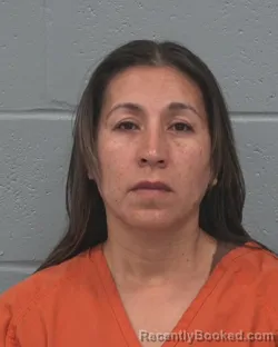 Mugshot of BEATRIZ SAAVEDRA RICO booked in Pasco County, Florida on April 29, 2026