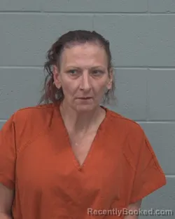 Mugshot of CHRISTIE LEANN HARDIN booked in Pasco County, Florida on May 5, 2026