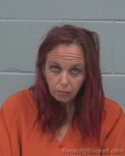 Mugshot of NICOLE AMBER HICKS booked in Pasco County, Florida on May 6, 2026