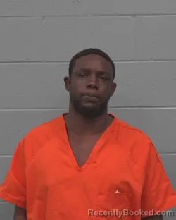 Mugshot of LONNIE EDWARD DAVIS booked in Pasco County, Florida on May 14, 2026