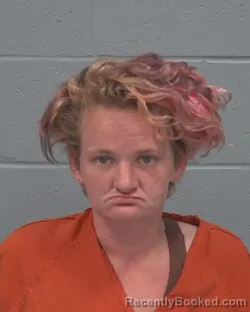 Booking photo from Pasco County, Florida