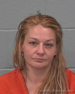 Mugshot of TIFFANY ANN ZINK booked in Pasco County, Florida on June 25, 2026
