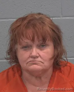 Mugshot of BELINDA LEE BRINSFIELD booked in Pasco County, Florida on June 25, 2026