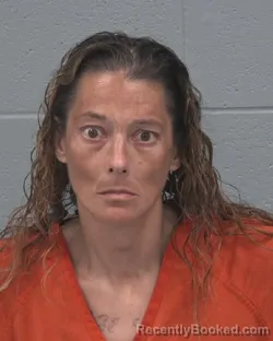 Mugshot of RACHEL TAN booked in Pasco County, Florida on June 27, 2026