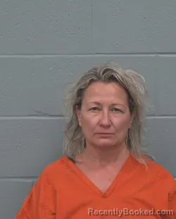 Mugshot of THERESE ANN DONNELLY booked in Pasco County, Florida on June 29, 2026