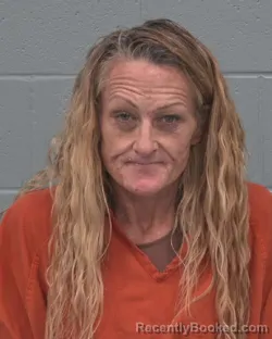 Mugshot of CYBIL RENEE WAKEFIELD booked in Pasco County, Florida on June 30, 2026