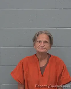 Mugshot of TINA MARIE VALENTINE booked in Pasco County, Florida on July 1, 2026