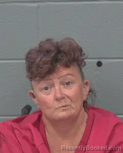 Mugshot of ANGELIQUE MAE MILLER-THOMAS booked in Pasco County, Florida on July 2, 2026