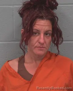 Mugshot of KRISTINA LEE NISI booked in Pasco County, Florida on July 3, 2026